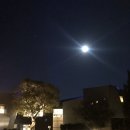 320(삼이공) | 멋진 바다를 바라보는 샷과 바람과 씨름하는 샷이 공존하는 아난티남해CC(구.힐튼남해) 후기와 주변 맛집