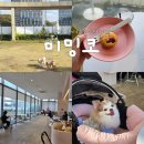 내품안의반려견광명점 | [광명] 롯데몰 미밍코 반려동물동반카페 | 루프탑 애견카페 후기