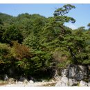 계곡담은집 이미지