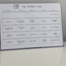 샐리앤샌디