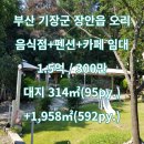 기장군장안읍오리보건진료소 | 【기장 상가 펜션 카페 임대】 부산 기장군 장안읍 오리 넓은 대지 건물 임대 숲속 분위기 어린이 놀이...