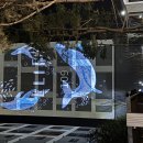 신흥오토 | 세종 청년 김강산에게~~불멸의 영웅이(hero)되어야 한다.