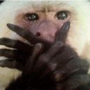 진천서울치과의원 이미지