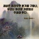 소3-121 Daum카페