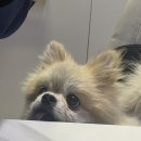 J&L우리들내과의원 | 요즈음