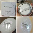 고고스브래드 | [일상이야기] 너무 바쁜 4월 마지막 주! Busy like a bee!