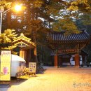 영암종합운동장 | 변산반도국립공원 관음봉 산행하고 월출산국립공원 박물관 참관한 뒤 무등산국립공원 도원야영장 야영...