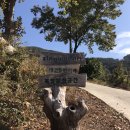 징검다리연구소 | 경남 애견동반 캠핑장 징검다리연구소 차박 캠핑 후기