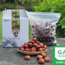 은골구기자마을 이미지