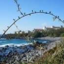 제주 올레길 4코스 이미지