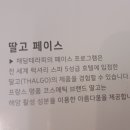채담 테라피
