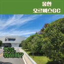 울산오르비스골프장 라운딩 후기 6월2부 추천