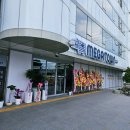 진주약국 | 진주 일요일약국 메가타운약국 방문 후기(내돈내산)