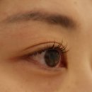 세븐일레븐안산원곡기숙사점 | 안산원곡점 &#34;스무살에머물다&#34; 속눈썹펌 후기 – 직모라면 여기 추천(3회 5만원 이벤트)