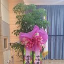 양서농협 앞 이미지