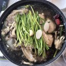 장수촌 | [용인 고기리]계곡보며 즐기는 몸보신 한방백숙"장수촌"내돈내산후기[주차정보]