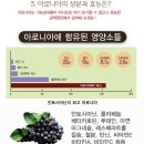 [추석선물세트특판] 산골짜기아로니아 생과 10kg 4만 / 동결건조분말 1.2kg 62,000 이미지