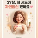 풍진하우스 | 노산 임신 준비 2달만에 임신 성공한 리얼 후기