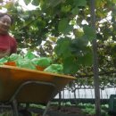 금화농장 이미지