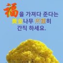 술 도둑놈 이미지