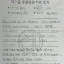 전주동물병원 | 전주 만성동 동물병원 백내장 수술 치료 후기 - 12살 요크셔테리어 콜비