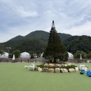 아워포레스트카페