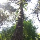 송담2로 이미지