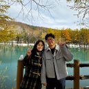 내리숲초등학교 | [7박8일 홋카이도여행] 2일차 비에이투어- 청의호수, 흰수염폭포, 희나짱 오코노미야끼