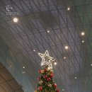 강아지마을 | 부산 크리스마스 빌리지 🎄🎅🏻 | 영화의전당 산타마을 강아지동반 후기 (주차/시간 꿀팁)