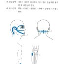 눈꺼풀처짐 시신경염증 시력저하 괄사치료하기 이미지