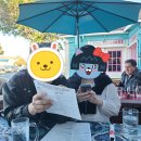 TACO SHOP(타코샵) 이미지