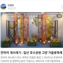 천하의 개쓰레기 일산 꽃축제 이미지