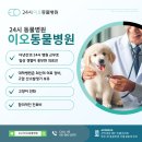 24시 이오동물병원 이미지