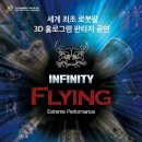인피니티플라잉 이미지