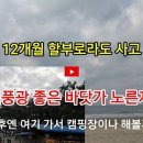 카드 12개월 할부로라도 사고 싶은 '자연풍광 좋은 바닷가 코 앞 노른자 땅' 이미지