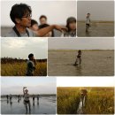 힘찬토건 | 수라갯벌에 들기 참여 후기