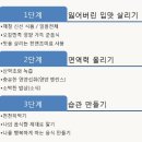 홀론
