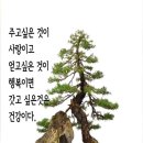 오분
