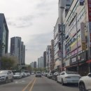 강진완도축협동물병원 | 광주에서완도택시 광주완도택시 광주장거리택시