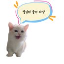 부산청과 31번 | 70회 한국사능력검정시험[한능검]심화 기출 해설[21번~30번]