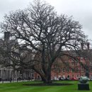 장산남로 이미지