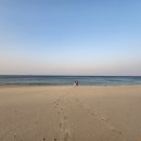 동해망상오토캠핑리조트 이미지