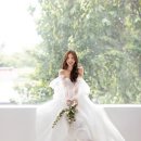 푸릇푸릇스튜디오