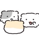 PINORTH(파이노스) 이미지