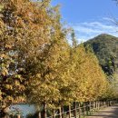 평지못 공중화장실 이미지