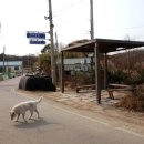 한강철책길 이미지