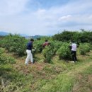 남규농장 이미지