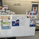 태양 동물병원 이미지