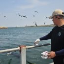 덕진호 좌대낚시터 이미지