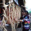 금산인삼 이미지